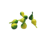miniatures poire