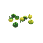 miniatures pomme (2)