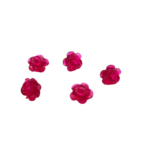 fleurs roses