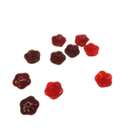 fleurs rouge 2