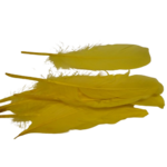 plumes doie Rayher jaune
