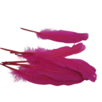 plumes doie Rayher fushia