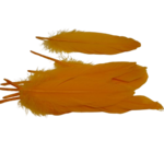 plumes doie Rayher orange