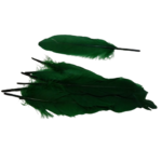 plumes doie Rayher vert foncé