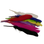 plumes doie Rayher multicolor