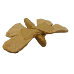 papillon decopatch