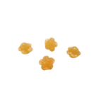 bouton fleur