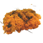 mousse végétale orange glorex