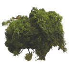 mousse végétale verte glorex