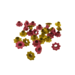oeillet fleurs