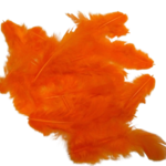 plumes artemio orange