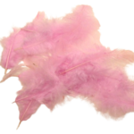 plumes artemio rose clair