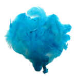 plumes artemio turquoise