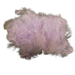 plumes artemio rose clair (2)