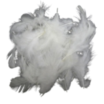 plumes artemio blanche
