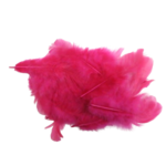 plumes artemio fuschia