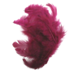 plumes artemio prune