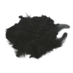 plumes artemio noir