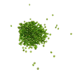 perles miyuki argentée vert