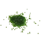 perles miyuki brillante vert
