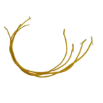 élastique jaune