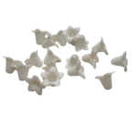 fleurs blanches