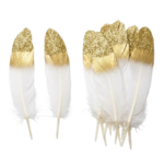 plume blanche bout doré