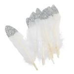 plumes blanches bout argenté