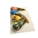 oiseaux artemio