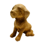 chien
