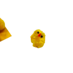 poussins