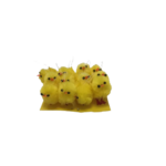 poussins kit creation