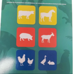 apli pochoirs animaux de la ferme
