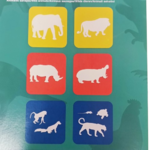 apli pochoirs animaux sauvages