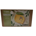 kit jesmonite coupelle citron