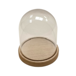cloche acrylique graine creative