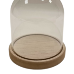 cloche acrylique kit creation