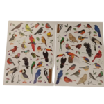 gommettes oiseaux réalistes
