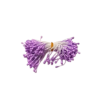 pistils fleurs  lilas