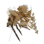 fleurs séchées kit creation blanc