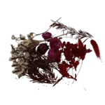 fleurs séchées kit creation bordeaux