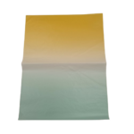 feuille decopatch FDA921