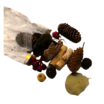 pochon noël