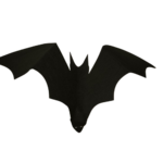 chauve souris à suspendres