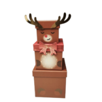 boite cadeau rico design renne