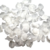 pétales blanches glorex