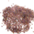 perles de rocaille 2 mm violettes