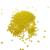 perles de rocailles 2 mm jaunes