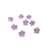 fleurs violette