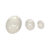 cabochons ovales